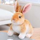 Realistic Kawaii Rabbit Plush - FurryZone