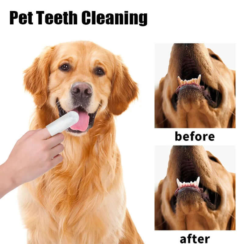 Pet Cleaning Finger Wipes – 50pcs Disposable for Teeth, Ears & Eyes - FurryZone