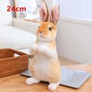 Simulation Kawaii Long-Eared Realistic Rabbit Plush Toy - FurryZone