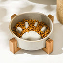 Slow Food Ceramic Bowl for Dogs and Cats - FurryZone