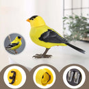 Electronic Singing Bird Toy - FurryZone