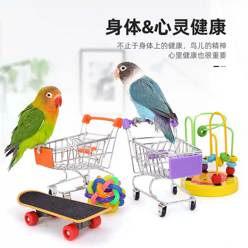Bird Training Toy Set - FurryZone