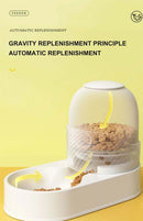 Automatic Cat & Dog Water Dispenser with Bowl Combo - FurryZone