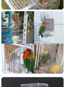 Parrot Bird Feeder - FurryZone