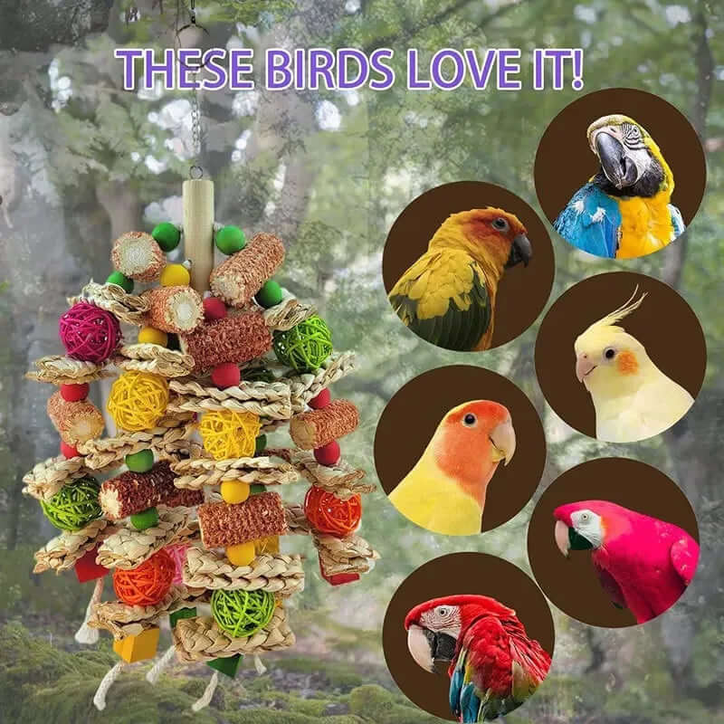 Bird Swing Toy - FurryZone