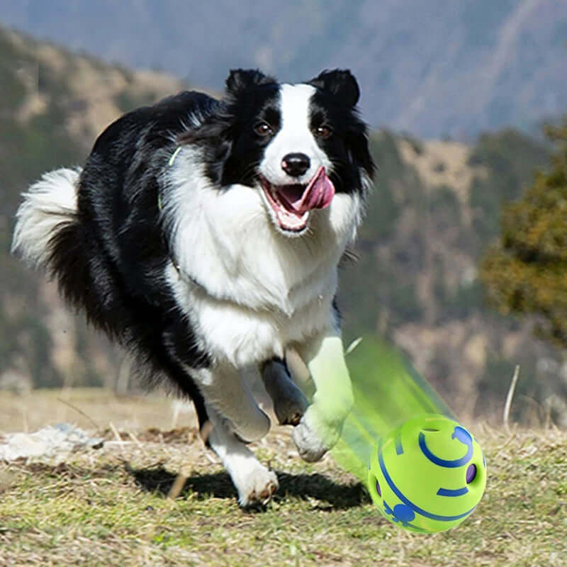 Interactive Dog Toy-Giggle Glow Ball - FurryZone