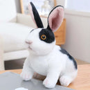 20cm Realistic Rabbit Plush Toy - FurryZone