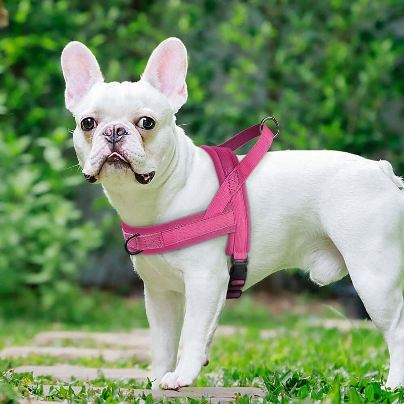 Soft Padded Adjustable Pet Pug Harness - FurryZone
