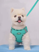 1pc Dog Harness - FurryZone