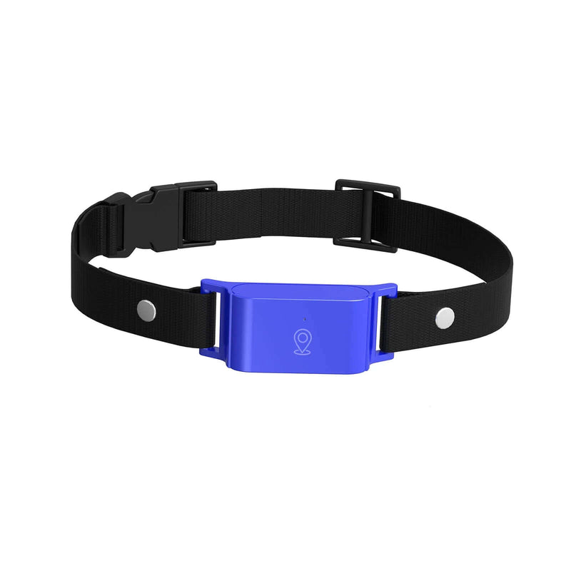 4G GPS Tracker Pet for Dog  and Cat - FurryZone