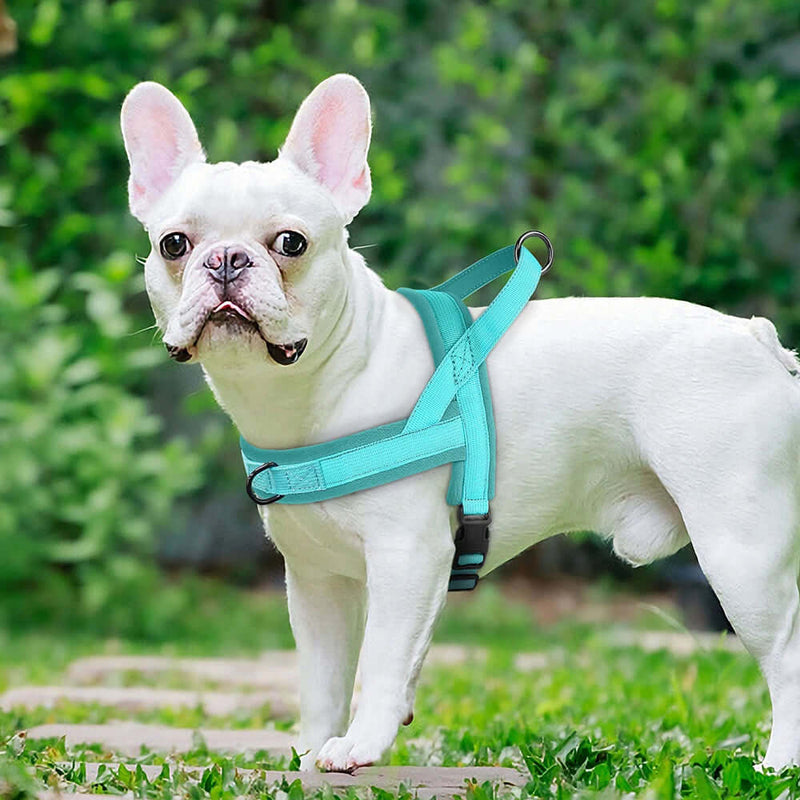 Soft Padded Adjustable Pet Pug Harness - FurryZone