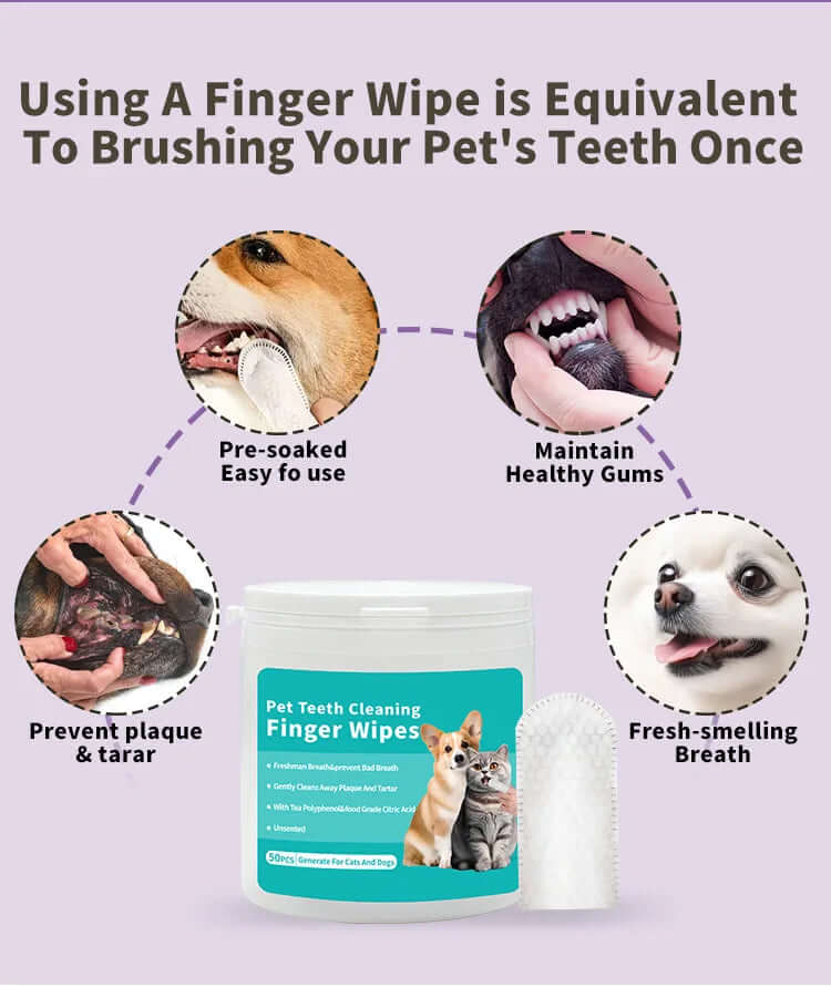 Pet Cleaning Finger Wipes – 50pcs Disposable for Teeth, Ears & Eyes - FurryZone