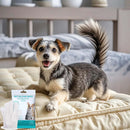 Disposable Pet Gloves FurryZone