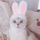 Rabbit Headgear for Cats - FurryZone