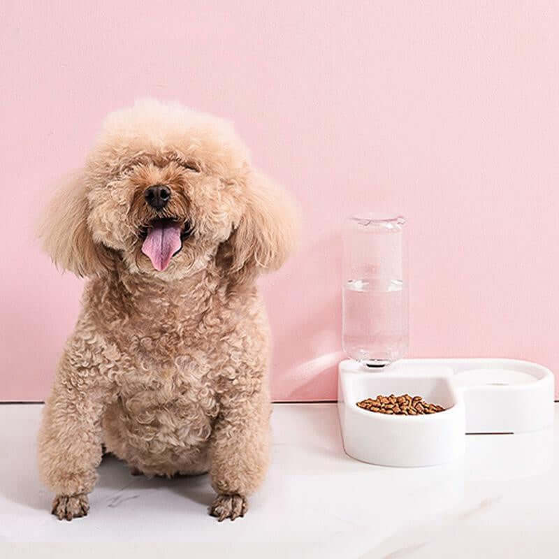 Automatic Pet Feeder & Water Bowl for Dogs and Cats FurryZone