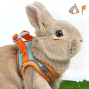 Rabbit Harness and Leash Set - FurryZone