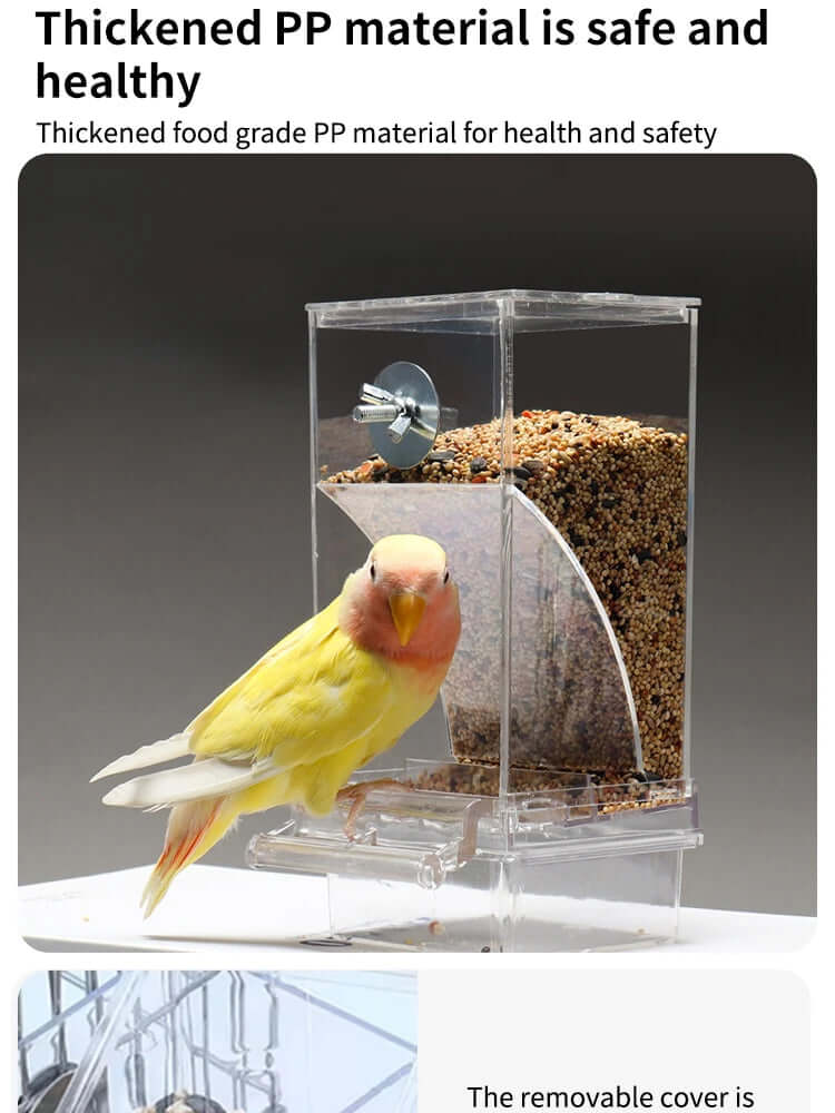 Parrot Bird Feeder - FurryZone