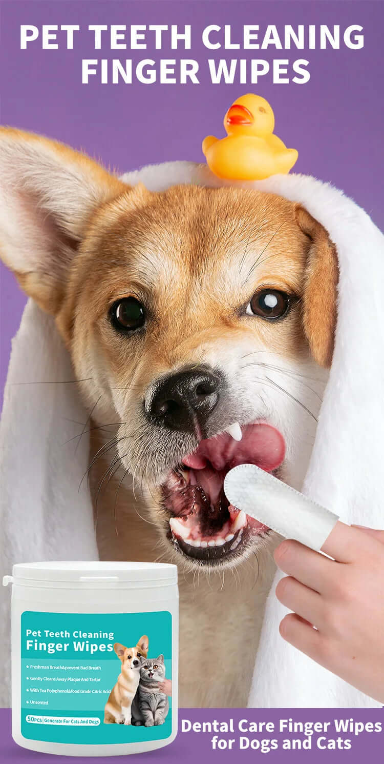 Pet Cleaning Finger Wipes – 50pcs Disposable for Teeth, Ears & Eyes - FurryZone