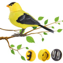 Electronic Singing Bird Toy - FurryZone