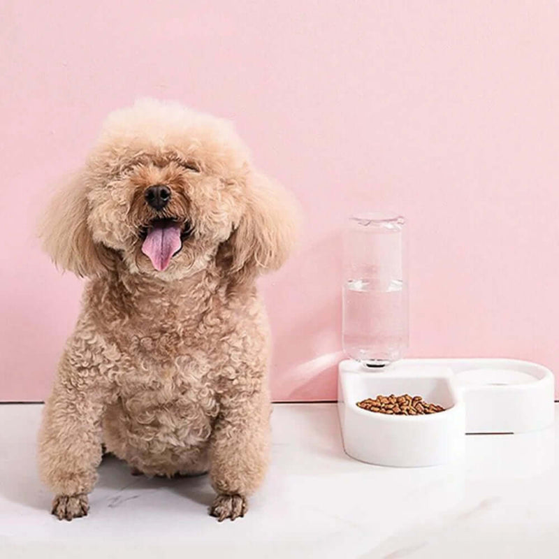 Automatic Pet Feeder & Water Bowl for Dogs and Cats FurryZone