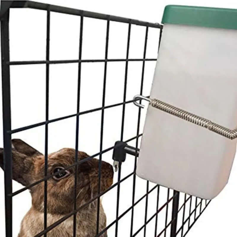 Rabbit Water Dispenser - FurryZone