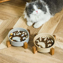 Slow Food Ceramic Bowl for Dogs and Cats - FurryZone
