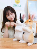 Realistic Kawaii Rabbit Plush - FurryZone