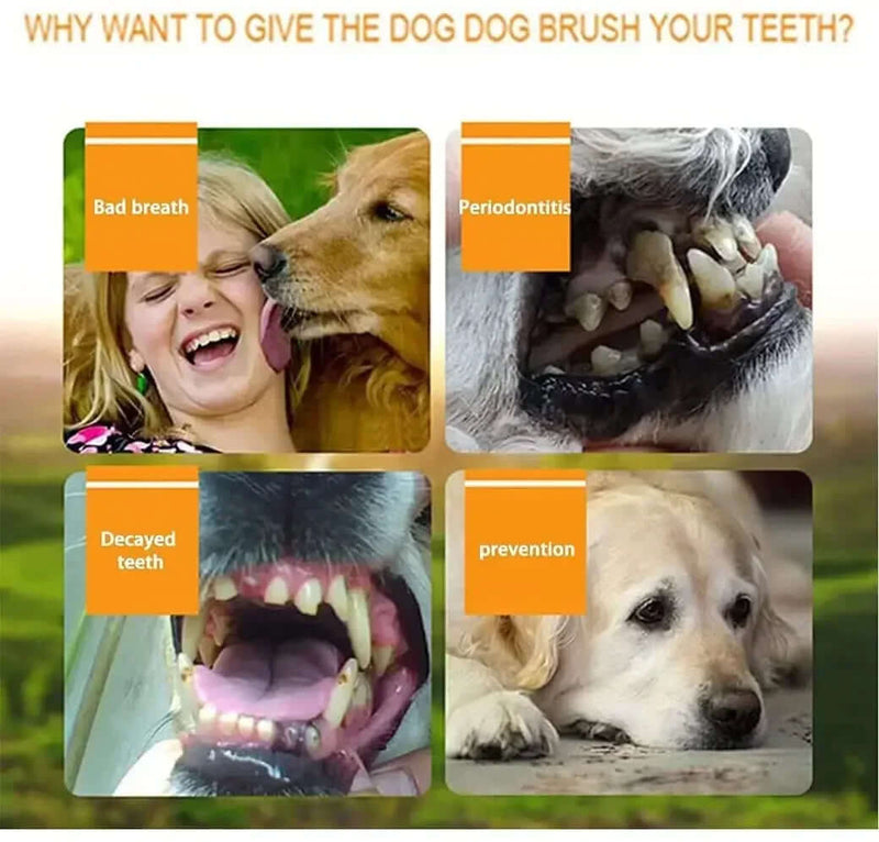 Silicone Finger Toothbrush for Dogs and Cats - FurryZone
