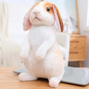 Realistic Kawaii Rabbit Plush - FurryZone