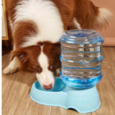 Large-Capacity Automatic Pet Water & Food Feeder - FurryZone