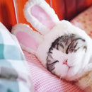 Rabbit Headgear for Cats - FurryZone
