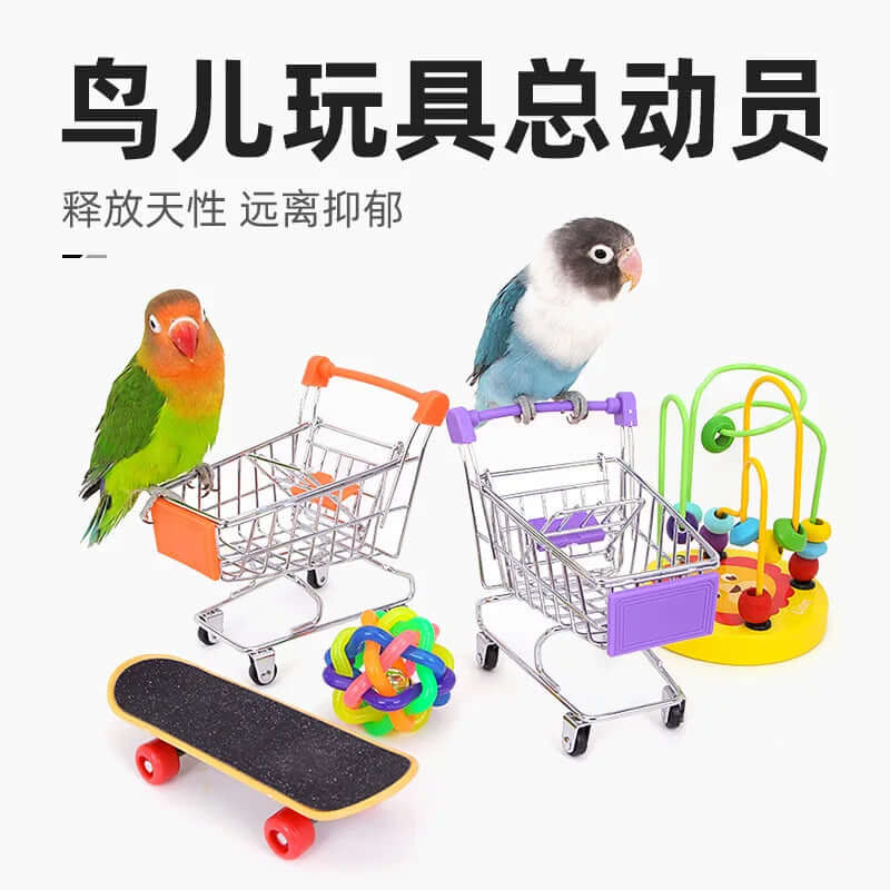 Bird Training Toy Set - FurryZone