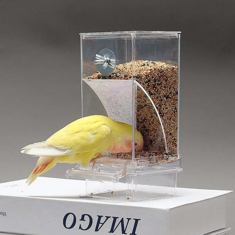 Parrot Bird Feeder - FurryZone