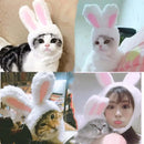 Rabbit Headgear for Cats - FurryZone