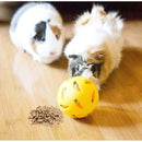 Rabbit Treat Ball Pet Slow Feeder - FurryZone