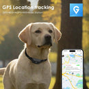 4G GPS Tracker Pet for Dog  and Cat - FurryZone