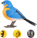 Electronic Singing Bird Toy - FurryZone