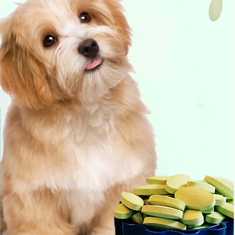 Pet Multivitamin Supplements for Healthy Fur & Immunity FurryZone