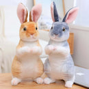 Simulation Kawaii Long-Eared Realistic Rabbit Plush Toy - FurryZone