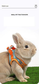 Rabbit Harness and Leash Set - FurryZone