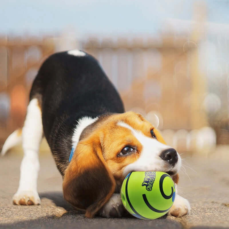 Interactive Dog Toy-Giggle Glow Ball - FurryZone