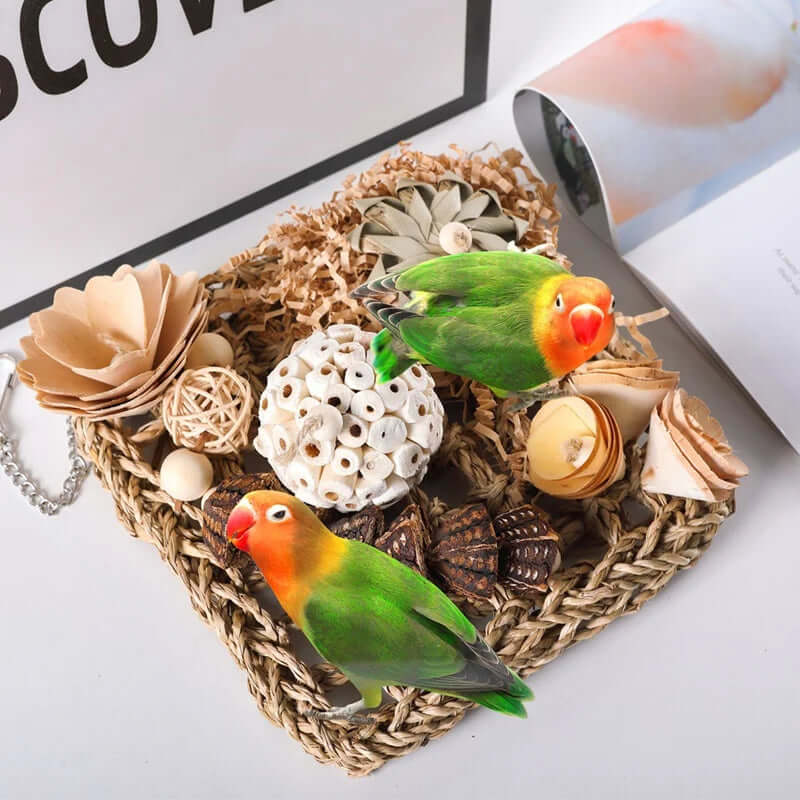 Bird Foraging Toys Grass Mat Climbing Wall - FurryZone