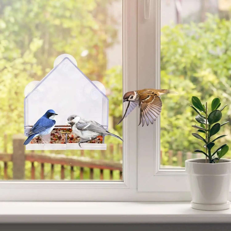 Window Bird Feeder - FurryZone