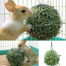 Stainless Steel Rabbit Hay Ball - FurryZone