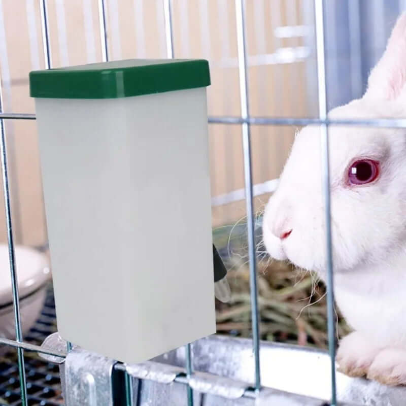 Rabbit Water Dispenser - FurryZone